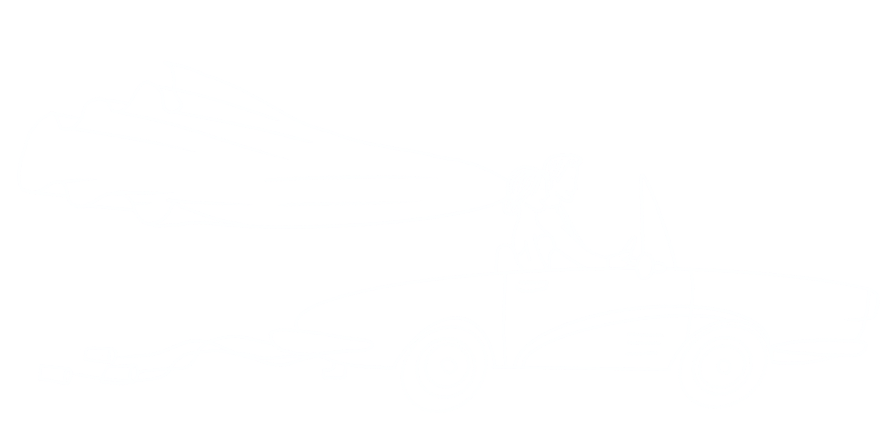 Coche